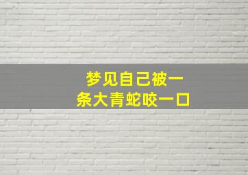 梦见自己被一条大青蛇咬一口