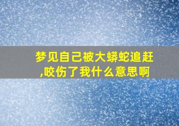 梦见自己被大蟒蛇追赶,咬伤了我什么意思啊