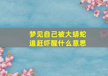 梦见自己被大蟒蛇追赶吓醒什么意思