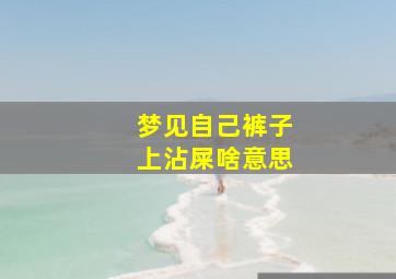 梦见自己裤子上沾屎啥意思