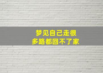 梦见自己走很多路都回不了家