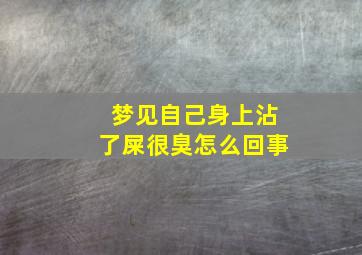 梦见自己身上沾了屎很臭怎么回事