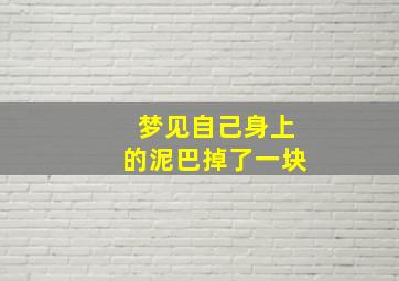 梦见自己身上的泥巴掉了一块