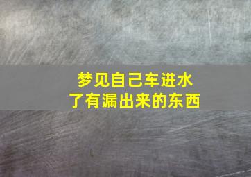 梦见自己车进水了有漏出来的东西