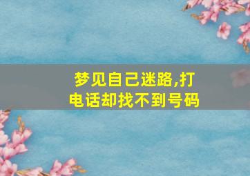 梦见自己迷路,打电话却找不到号码