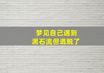 梦见自己遇到泥石流但逃脱了