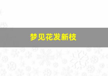 梦见花发新枝