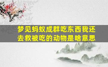 梦见蚂蚁成群吃东西我还去救被吃的动物是啥意思