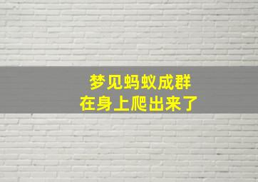 梦见蚂蚁成群在身上爬出来了