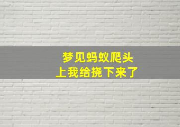 梦见蚂蚁爬头上我给挠下来了