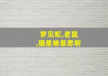 梦见蛇,老鼠,猫是啥意思啊