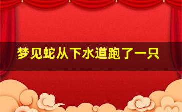 梦见蛇从下水道跑了一只