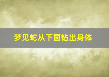 梦见蛇从下面钻出身体