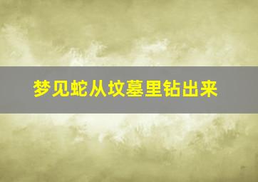 梦见蛇从坟墓里钻出来