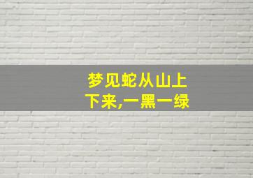 梦见蛇从山上下来,一黑一绿