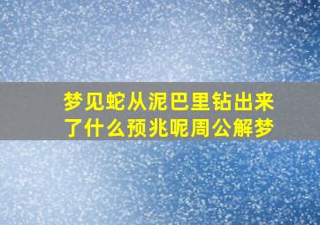 梦见蛇从泥巴里钻出来了什么预兆呢周公解梦