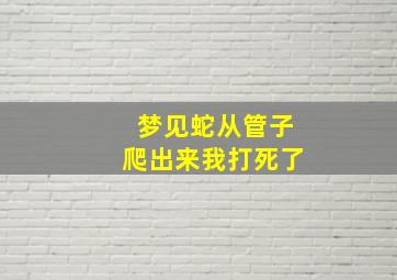 梦见蛇从管子爬出来我打死了