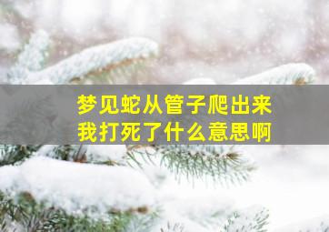 梦见蛇从管子爬出来我打死了什么意思啊