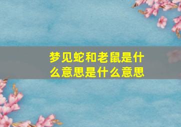 梦见蛇和老鼠是什么意思是什么意思