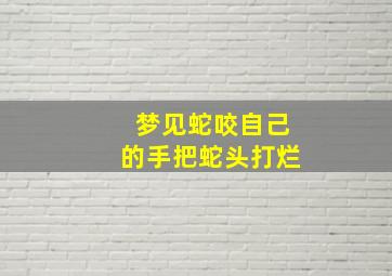 梦见蛇咬自己的手把蛇头打烂