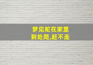 梦见蛇在家里到处爬,赶不走