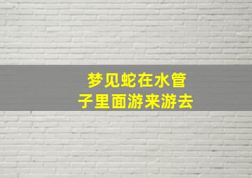 梦见蛇在水管子里面游来游去