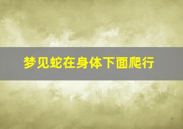 梦见蛇在身体下面爬行