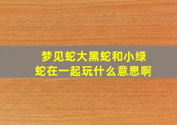 梦见蛇大黑蛇和小绿蛇在一起玩什么意思啊