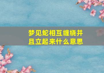 梦见蛇相互缠绕并且立起来什么意思