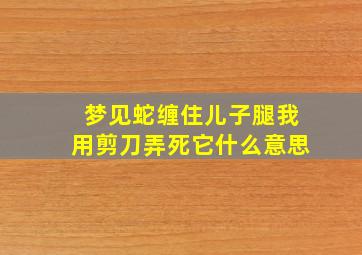 梦见蛇缠住儿子腿我用剪刀弄死它什么意思