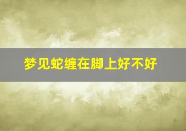 梦见蛇缠在脚上好不好