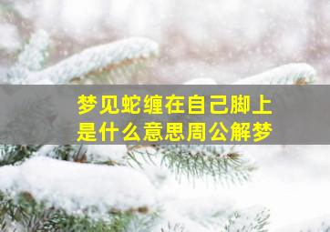 梦见蛇缠在自己脚上是什么意思周公解梦