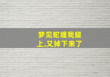 梦见蛇缠我腿上,又掉下来了