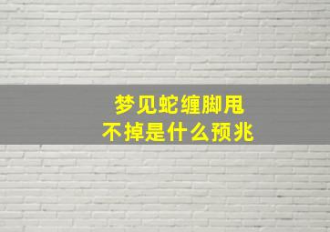 梦见蛇缠脚甩不掉是什么预兆