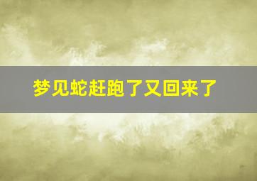 梦见蛇赶跑了又回来了