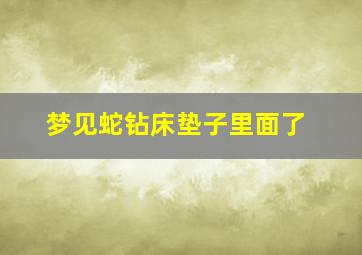 梦见蛇钻床垫子里面了