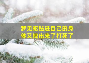 梦见蛇钻进自己的身体又拽出来了打死了