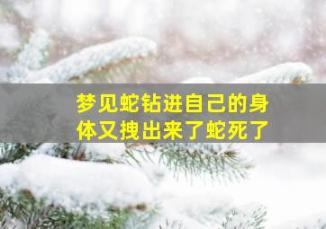 梦见蛇钻进自己的身体又拽出来了蛇死了