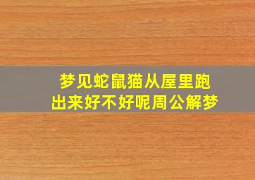 梦见蛇鼠猫从屋里跑出来好不好呢周公解梦