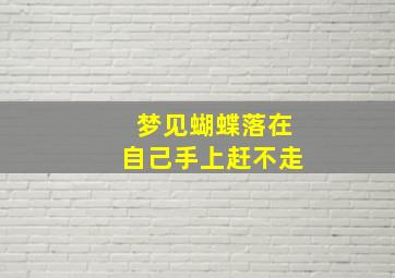 梦见蝴蝶落在自己手上赶不走