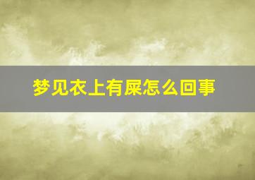 梦见衣上有屎怎么回事