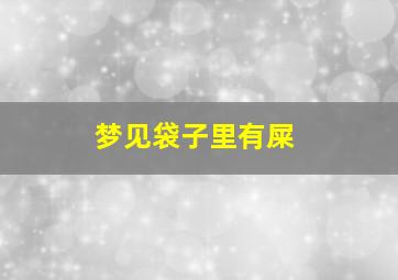 梦见袋子里有屎