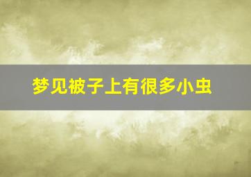 梦见被子上有很多小虫