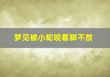 梦见被小蛇咬着脚不放