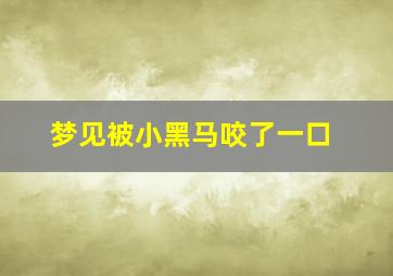 梦见被小黑马咬了一口