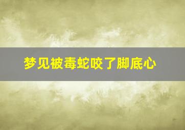 梦见被毒蛇咬了脚底心