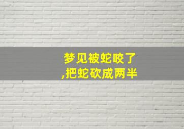 梦见被蛇咬了,把蛇砍成两半