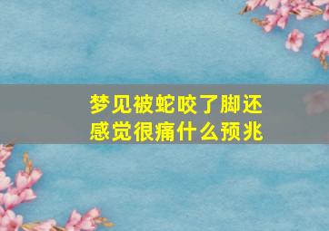 梦见被蛇咬了脚还感觉很痛什么预兆