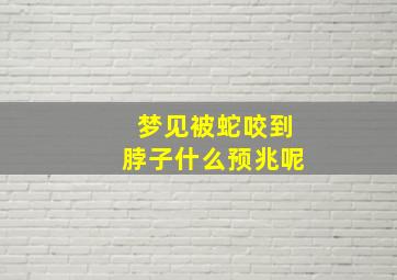 梦见被蛇咬到脖子什么预兆呢