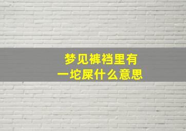 梦见裤裆里有一坨屎什么意思